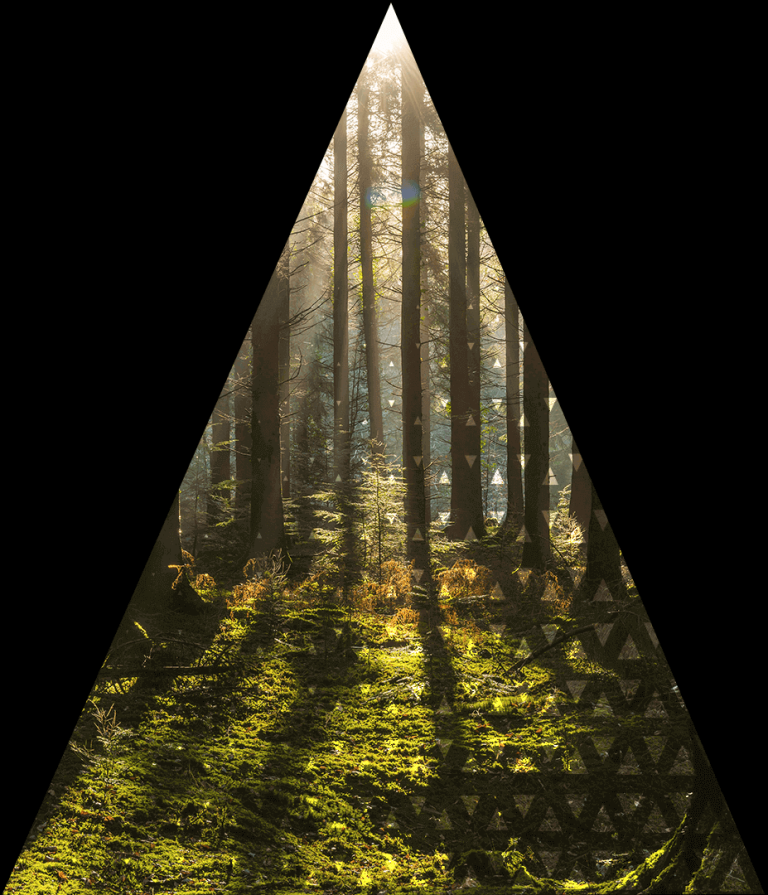 Aria Sustainability Homepage Image