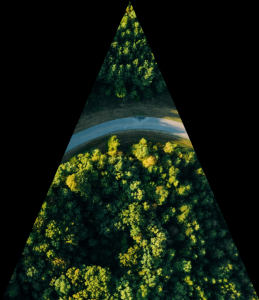 Carbon Reduction Strategy