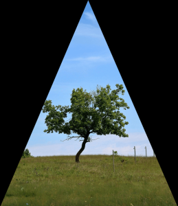 Environmental Product Declaration EPD